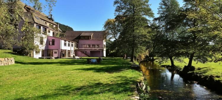 孚日之家酒店(Logis Hotel des Vosges)图片