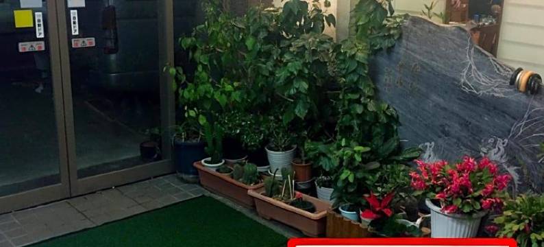 名龙旅馆(Ryokan Meiryu)图片