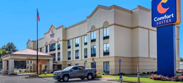 伍德斯托克舒适套房酒店- 亚特兰大北(Comfort Suites Woodstock - Atlanta North)图片