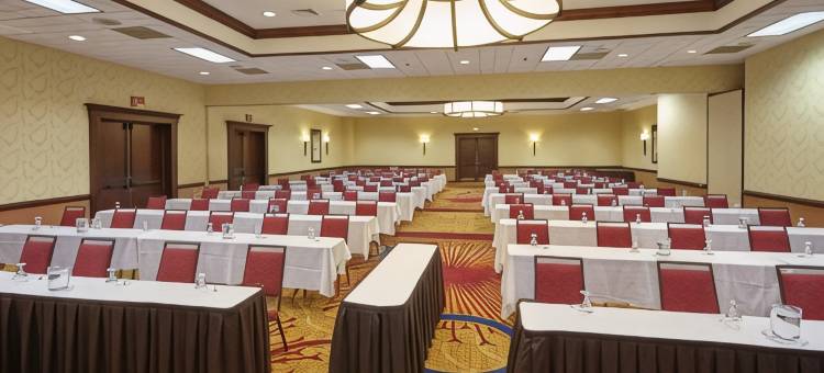 Holiday Inn & Suites 芝加哥罗斯奇姆(惠顿)(Holiday Inn & Suites Chicago-Carol Stream (Wheaton))图片