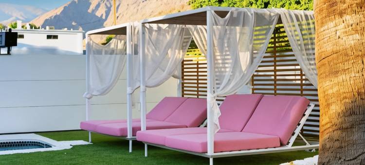 仙人掌酒店(The Cactai)图片