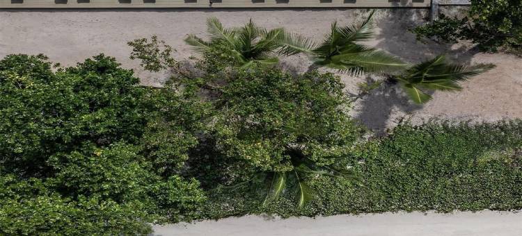 阿瓦尼+ 巴巴隆塞舌尔(Avani+ Barbarons Seychelles)图片