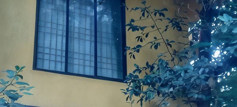 阿吉亚尔旅馆(Aguiar Guest House)图片