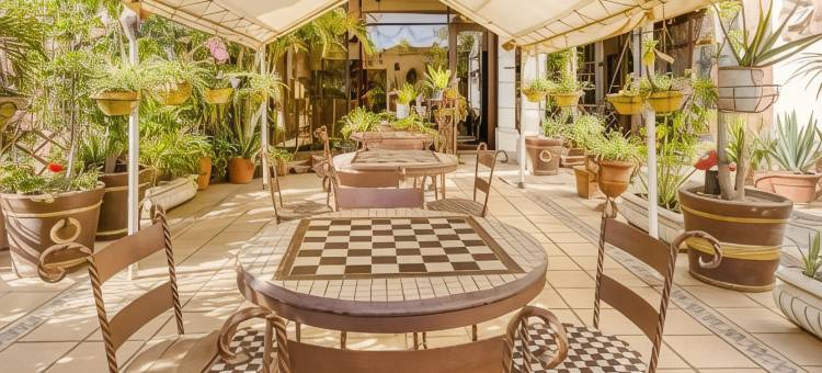 Capital O 金色山丘(Capital O Colina Dorada)图片