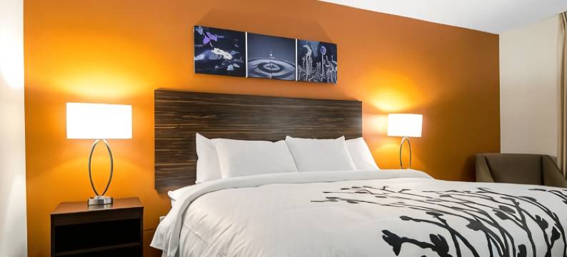 盖斯马-冈萨雷斯舒眠酒店(Sleep Inn Geismar - Gonzales)图片