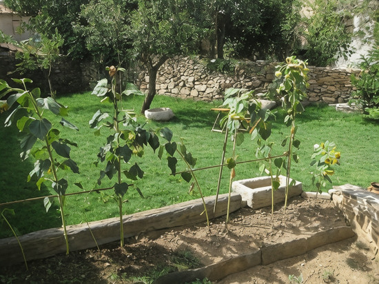 康德亚斯索图酒店