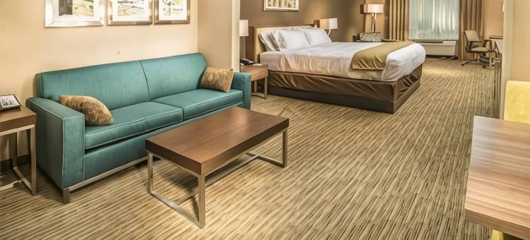 盐湖城南墨里智选假日酒店及套房(Holiday Inn Express & Suites Salt Lake City South - Murray)图片