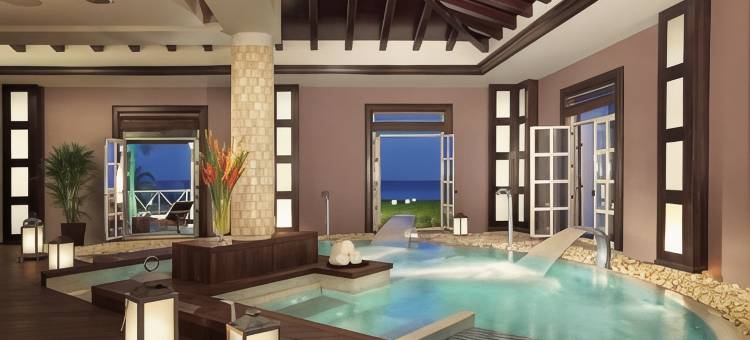 野兰花的秘密(Secrets Wild Orchid)图片