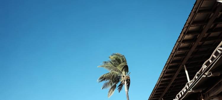 马拉帕斯卡经济旅馆(Malapascua Budget Inn Mbi Dive Center)图片