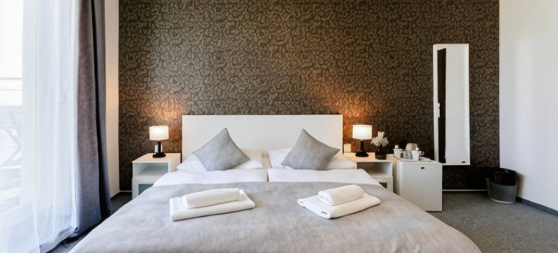 佩蒂特高级旅馆(Pension Petit)图片