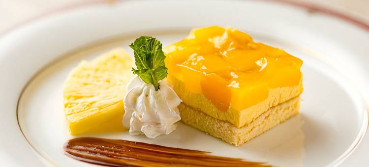 新大阪江坂东急REI酒店(Shin Osaka Esaka Tokyu Rei Hotel)图片