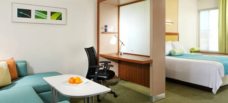 阿什本杜勒斯北SpringHill套房酒店(SpringHill Suites Ashburn Dulles North)图片