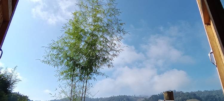 奇诺普寄宿家庭(Chinopuu Hut Homestay Muangkong)图片