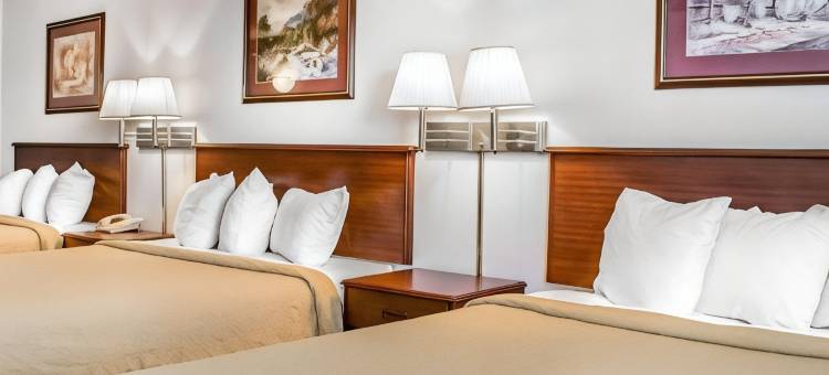 布鲁克斯路易斯维尔南凯艺套房酒店(Quality Inn & Suites Brooks Louisville South)图片