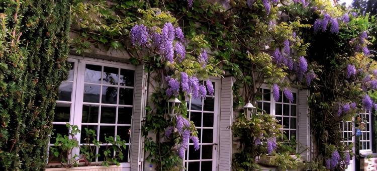 交叉鹿酒店(La Croix du Reh)图片