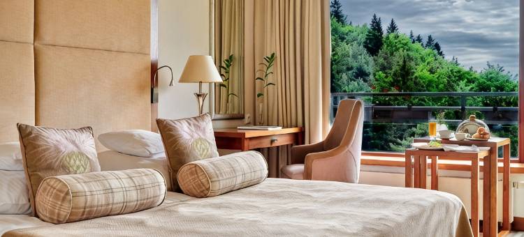 Irena Eris Krynica Zdrój 12+ SPA酒店(Hotel Spa Dr Irena Eris Krynica Zdrój)图片