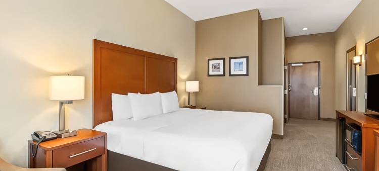 舒适套房酒店(Comfort Inn & Suites)图片