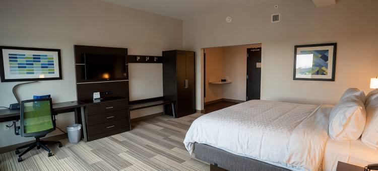 洲际智选假日套房酒店里奇堡(Holiday Inn Express & Suites RICHBURG by IHG)图片