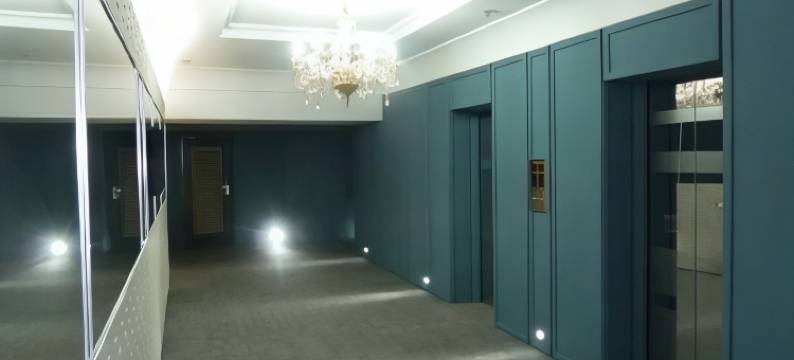 伊莫康科德酒店(Imo Concorde Hotel)图片