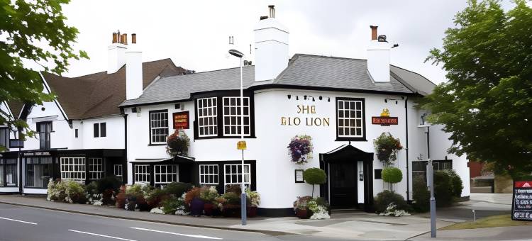 红狮酒店(The Red Lion Hotel)图片