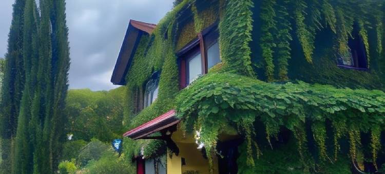 普罗旺斯格拉玛多小酒店(Petit Hotel Provence Gramado)图片