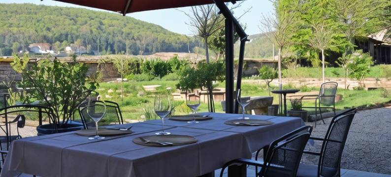 莱斯德舍夫尔酒店 热夫雷-香贝丹(Hôtel les Deux Chèvres Gevrey-Chambertin)图片