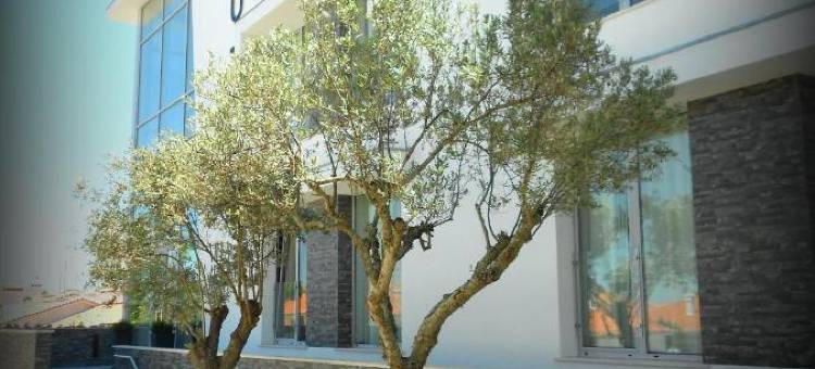 阿尔茹什特雷尔别墅法拉格酒店(Lam Hotel Villa Aljustrel)图片