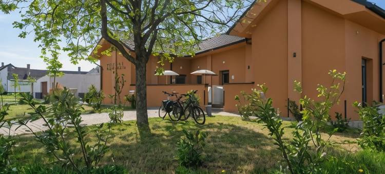 Pannonia 宾馆(Pension Pannonia)图片