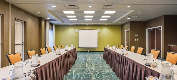 阿伦德尔米尔斯巴尔的摩华盛顿国际机场万豪SpringHill酒店(SpringHill Suites Arundel Mills BWI Airport)图片