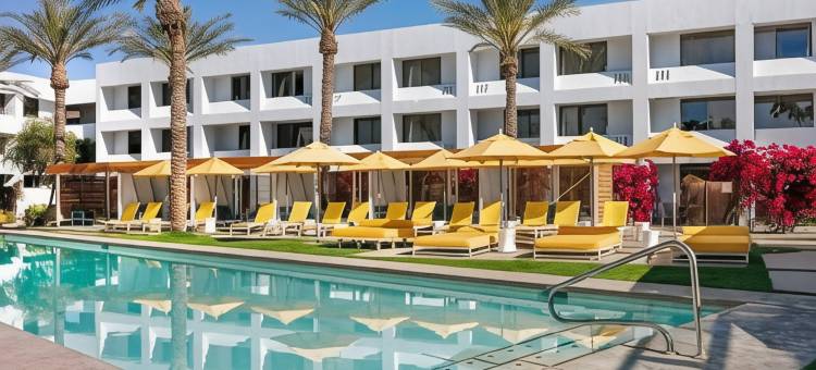 君主(The Monarch)图片