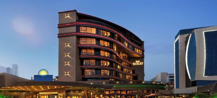 伊斯坦布尔马尔特佩温德姆戴斯酒店(Days Hotel by Wyndham Istanbul Maltepe)图片