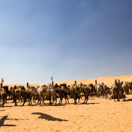 内蒙古呼和浩特+希拉穆仁草原+响沙湾+成吉思汗陵6日5晚私家团