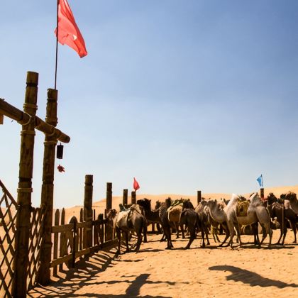 内蒙古呼和浩特+希拉穆仁草原+响沙湾+成吉思汗陵4日3晚私家团