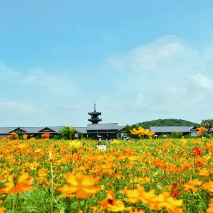 苏州+杭州+无锡+南京+乌镇4日3晚跟团游