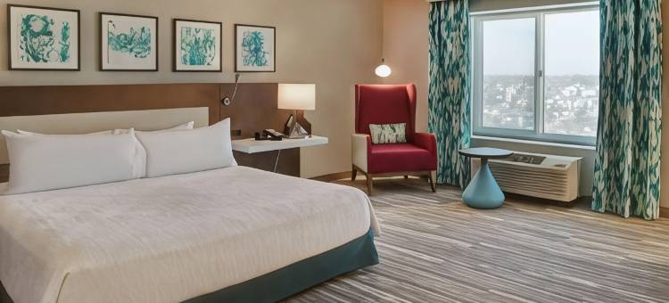 堪萨斯城希尔顿花园酒店(Hilton Garden Inn Kansas City/Kansas)图片