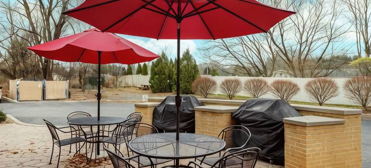 塞尔舒适套房酒店(Comfort Inn & Suites Sayre)图片