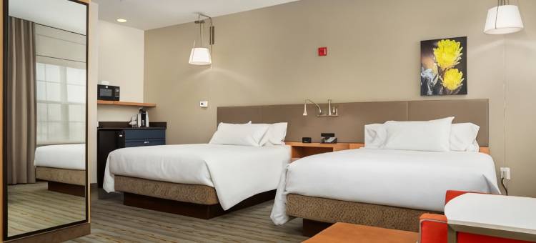 凤凰城机场希尔顿花园旅馆(Hilton Garden Inn Phoenix Airport)图片