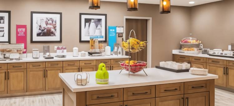 科利维尔DFW机场西欢朋套房酒店(Hampton Inn & Suites by Hilton Colleyville DFW Airport West)图片