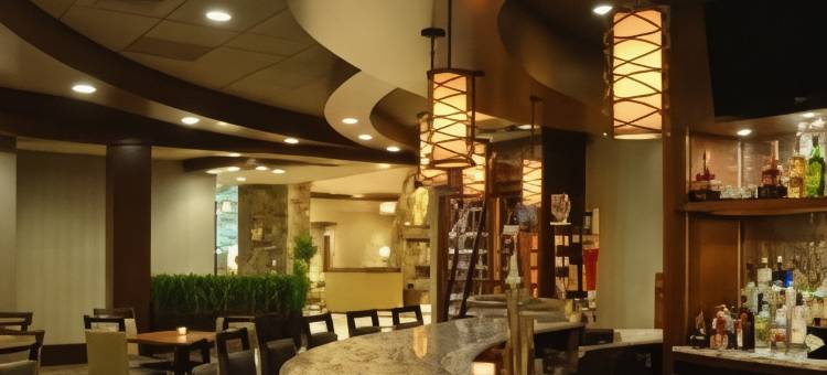 萨拉托加泉安泊套房酒店(Embassy Suites by Hilton Saratoga Springs)图片