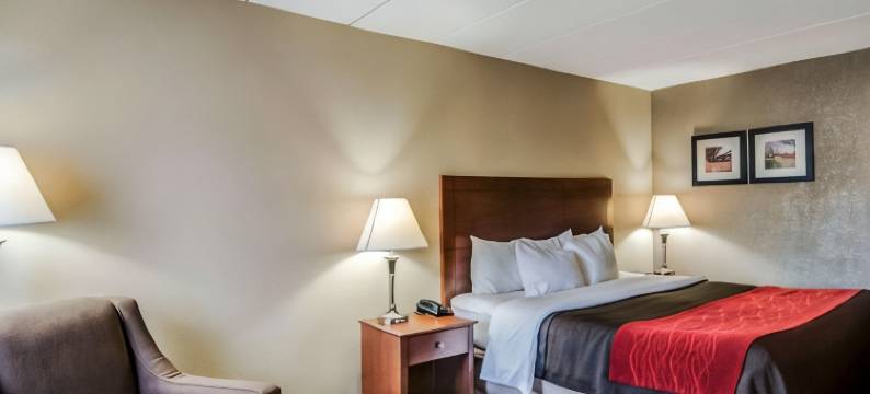 舒适套房酒店-拉芬列克星敦I-81和I-64附近(Comfort Inn & Suites Raphine - Lexington Near I-81 and I-64)图片