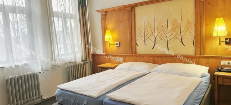 布兰尼克酒店(Hotel Braník)图片