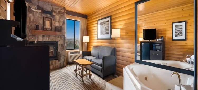 绿洲公园贝斯特韦斯特酒店(Best Western Park Oasis Inn)图片