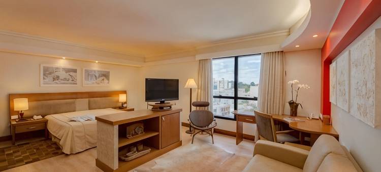 蓝树塔南卡希亚斯酒店(Blue Tree Towers Caxias do Sul)图片