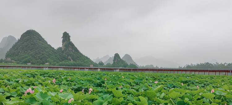 英德好客民宿图片