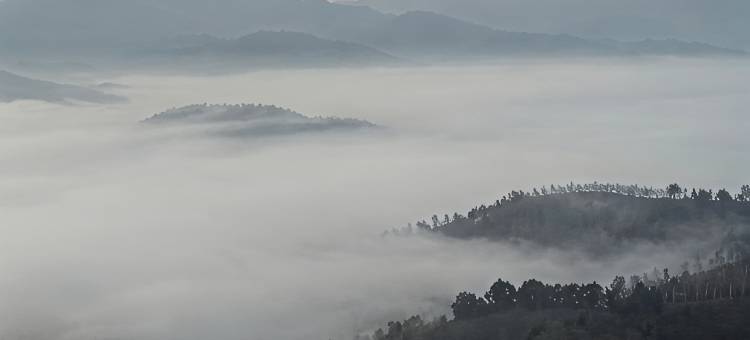 观云舍民宿(景迈山茶林文化景区店)图片