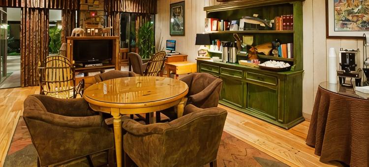 Holiday Inn 阿什维尔，比尔特莫尔东(Holiday Inn ASHEVILLE EAST-BLUE RIDGE PKWY by IHG)图片