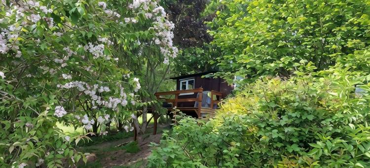 花楸树什罗普郡配有热水浴缸的林间静居山林小屋(Rowan Tree Lodge with Hot Tub, a beautiful Woodland Retreat in Shropshire)图片