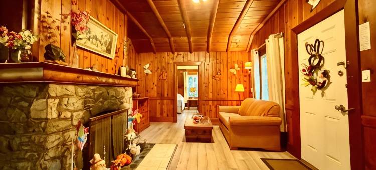 瑞士小木屋汽车旅馆(Richca Chalets Resort)图片