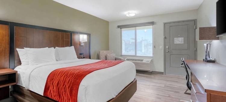 舒适酒店(Comfort Inn)图片