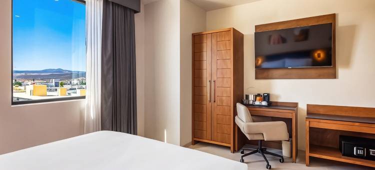 希尔顿欢朋克雷塔罗胡里基利亚(Hampton by HIlton Queretaro Juriquilla)图片